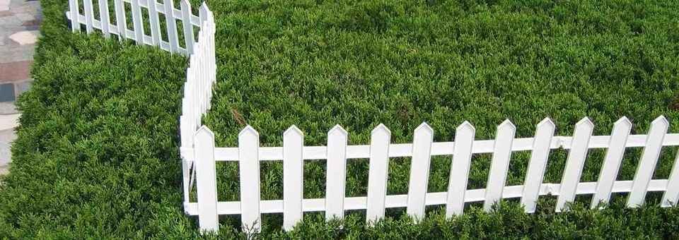 a small ornamental garden fence